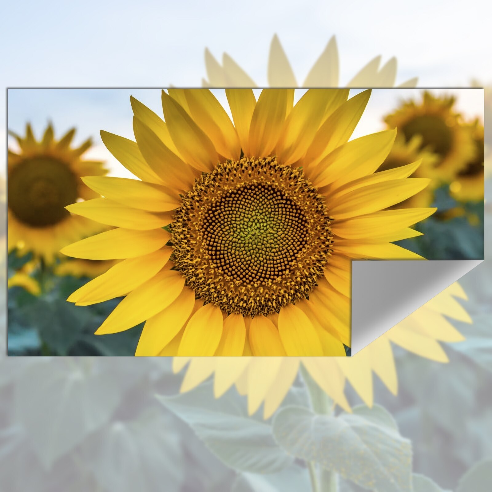 Projection Screen Reflective F - Projector Screen 100 Inch のレビューと価格